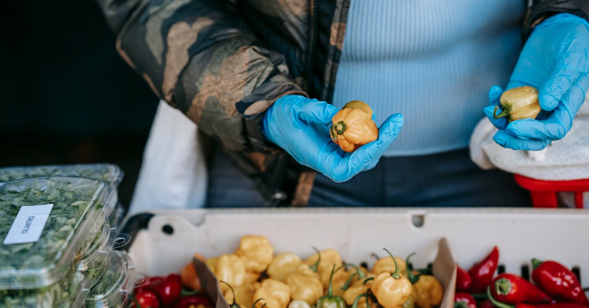 découvrez les programmes locaux de prévention pour promouvoir la santé et le bien-être dans votre communauté.
