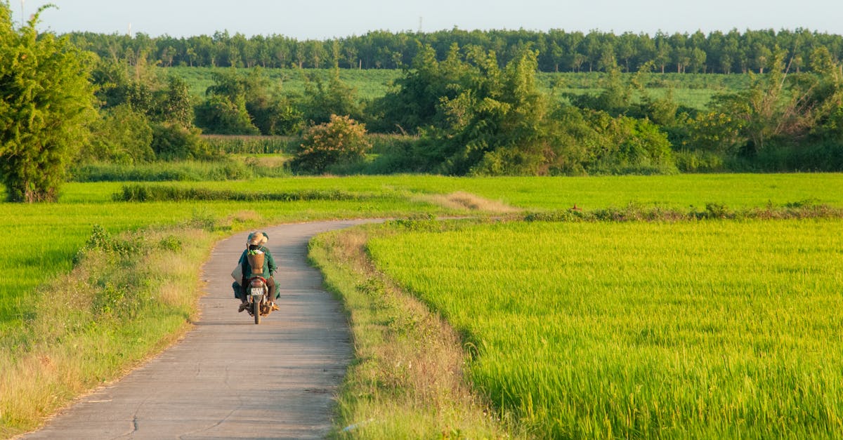 découvrez notre assurance moto écologique qui protège votre véhicule tout en respectant l'environnement. profitez de tarifs compétitifs et d'une couverture adaptée à vos besoins, tout en contribuant à un avenir durable.