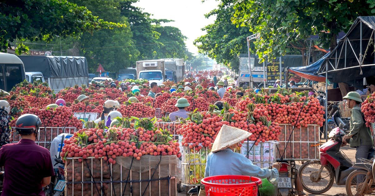protégez votre moto avec notre assurance spécifique pour motos. bénéficiez de garanties complètes et d'un service client dédié pour rouler en toute sérénité. comparez les offres et trouvez la couverture idéale pour vos besoins.