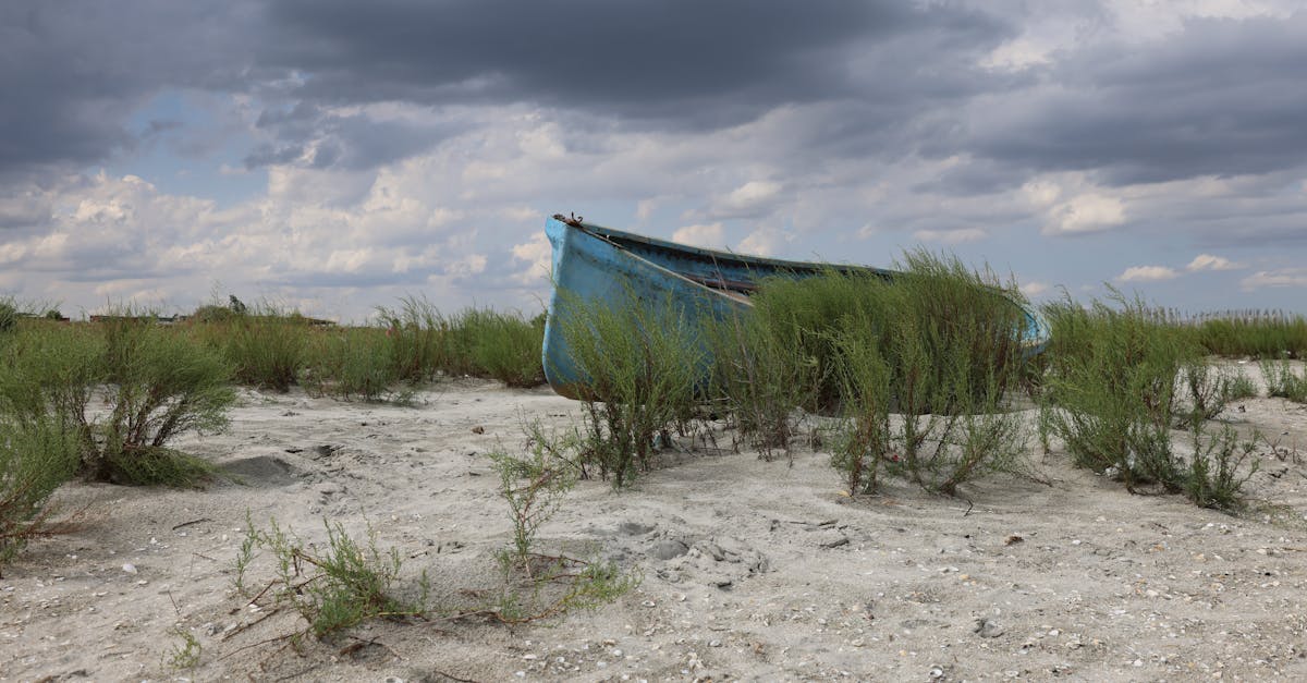 protégez votre embarcation avec une assurance bateau complète. découvrez nos options d'assurance adaptées à vos besoins pour naviguer en toute sérénité. comparez les tarifs et choisissez la couverture idéale pour votre bateau aujourd'hui.
