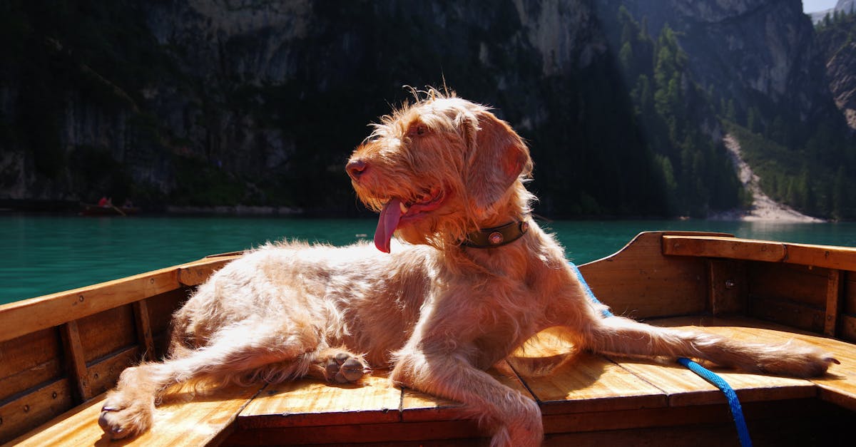 découvrez notre assurance bateau, conçue pour protéger votre investissement sur l'eau. profitez d'une couverture complète, d'un service client dédié et de tarifs compétitifs pour naviguer en toute sérénité. obtenez votre devis personnalisé dès aujourd'hui !