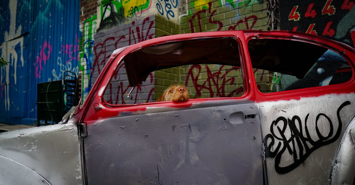 comparez les meilleures assurances auto en un seul clic ! trouvez la couverture idéale pour votre véhicule au meilleur prix grâce à notre comparateur d'assurances auto. économisez du temps et de l'argent tout en bénéficiant de l'assurance qui vous convient.