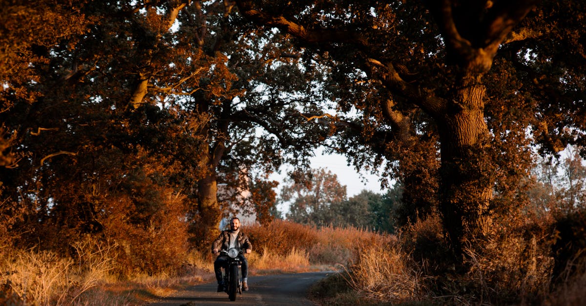 découvrez notre assurance moto qui vous offre une protection complète et adaptée à vos besoins. protégez votre deux-roues avec des garanties sur mesure et des services de qualité pour rouler en toute sérénité.