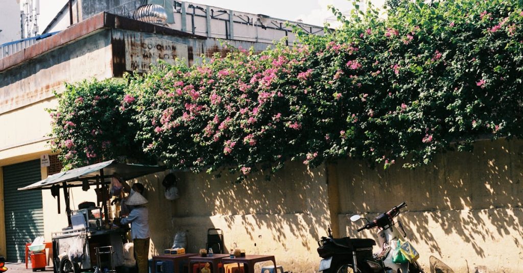 découvrez comment optimiser votre assurance moto à la réunion avec des conseils pratiques et des offres adaptées. protégez votre véhicule tout en réalisant des économies!