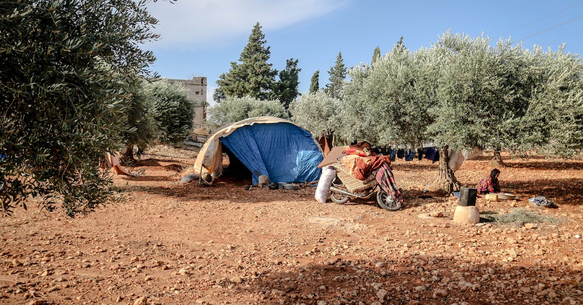 découvrez notre assurance moto temporaire, idéale pour les conducteurs à la recherche d'une couverture flexible et abordable pour un court terme. protégez-vous sur la route sans engagement à long terme.