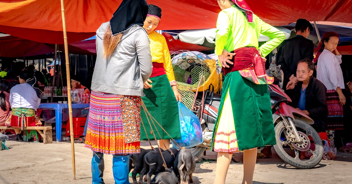 découvrez le prix compétitif du scooter kymco 550, un modèle alliant performance, confort et élégance. profitez des meilleures offres pour explorer la ville avec style et sécurité.