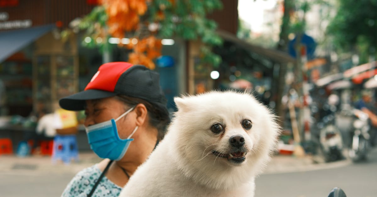 découvrez notre assurance pour motos adaptée à vos besoins, offrant une couverture complète et des tarifs compétitifs pour vous protéger sur la route. roulez en toute sérénité avec une assurance moto fiable.