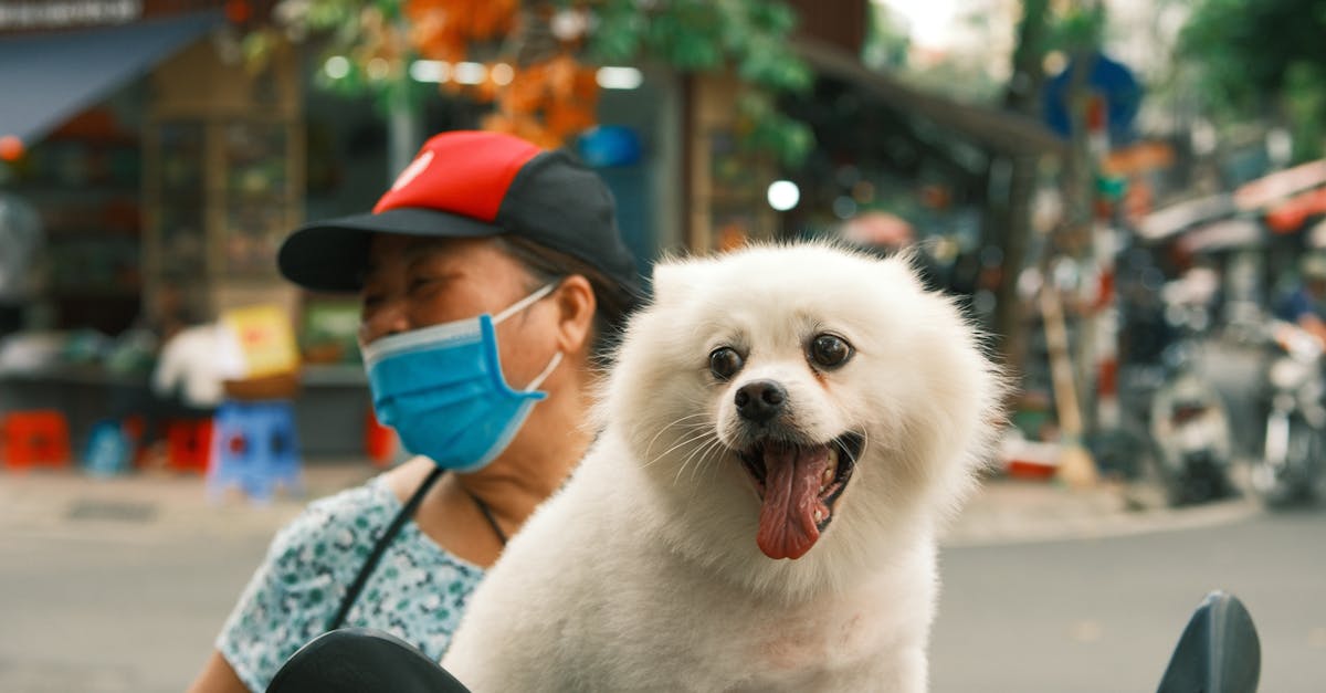 découvrez les meilleures offres d'assurance moto adaptées à vos besoins. protégez votre véhicule et votre sécurité sur la route avec des garanties complètes et des tarifs compétitifs. obtenez votre devis personnalisé dès aujourd'hui !