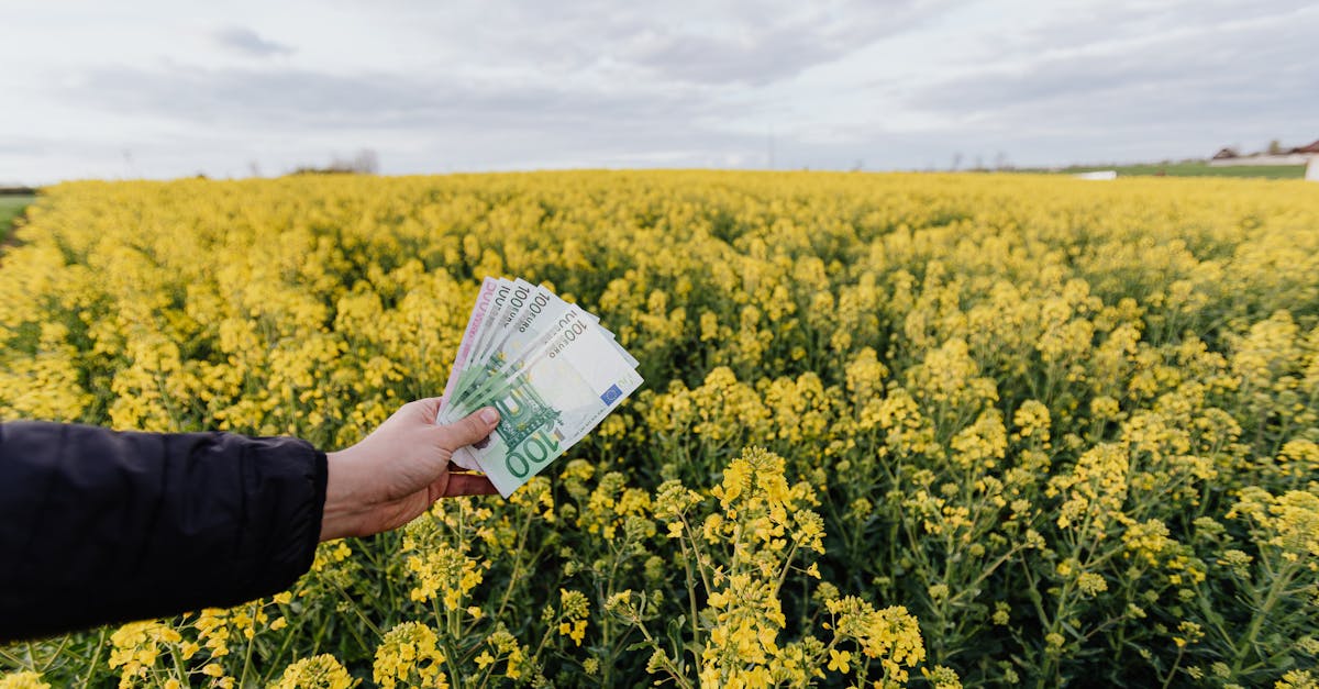 découvrez les coûts associés au modèle tmax, y compris les prix d'achat, les frais d'entretien et les options disponibles. informez-vous pour prendre la meilleure décision financière concernant votre futur véhicule.