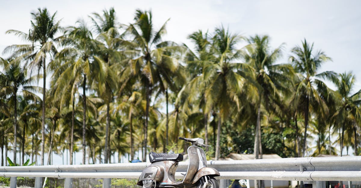 découvrez les coûts d'assurance pour scooter en france. comparez les offres, trouvez la couverture adaptée à vos besoins et économisez sur votre prime d'assurance tout en protégeant votre véhicule.