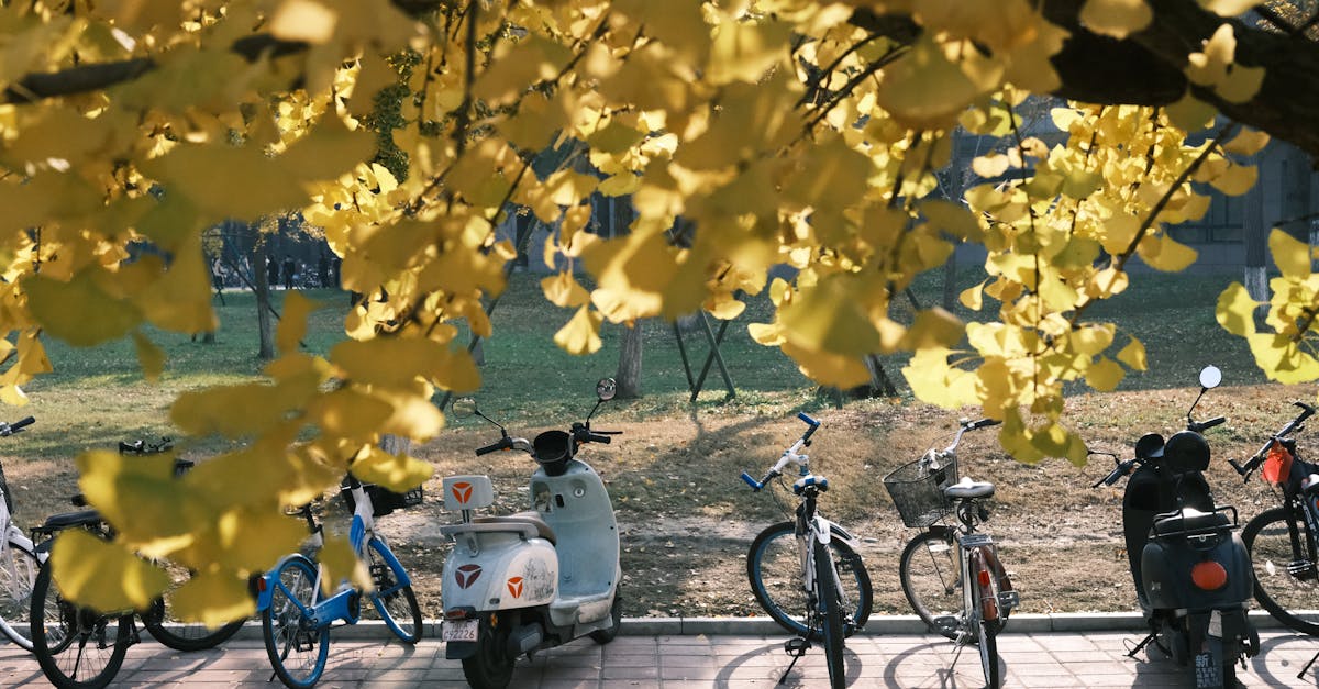 obtenez rapidement des devis d'assurance moto personnalisés et comparez les meilleures offres pour protéger votre véhicule avec confiance. trouvez la couverture idéale qui correspond à vos besoins et à votre budget.
