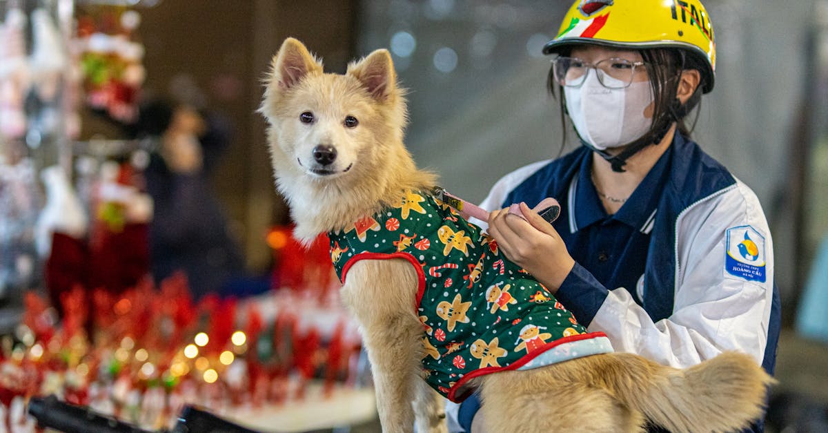 obtenez un devis d'assurance moto rapide et personnalisé en quelques clics. comparez les meilleures offres sur le marché pour protéger votre moto et rouler en toute sérénité.