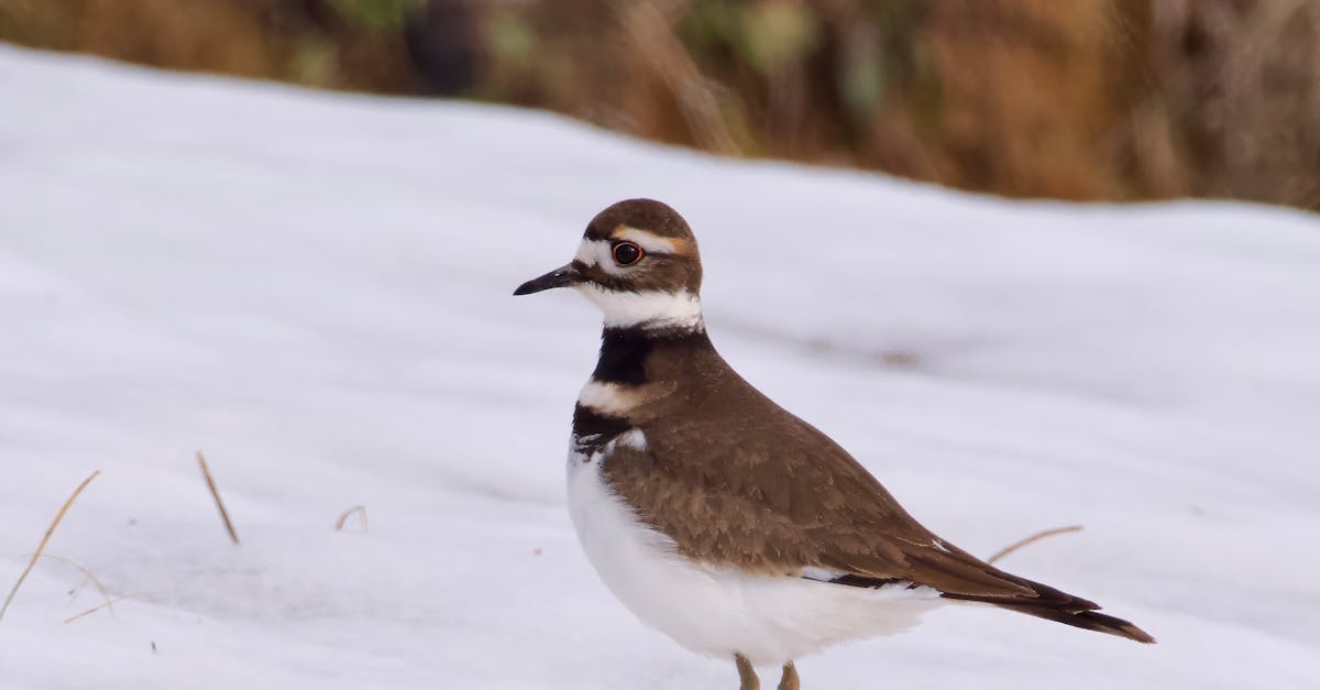 découvrez notre collection exclusive, un assortiment soigneusement sélectionné d'articles uniques et tendance pour sublimer votre style et enrichir votre quotidien.