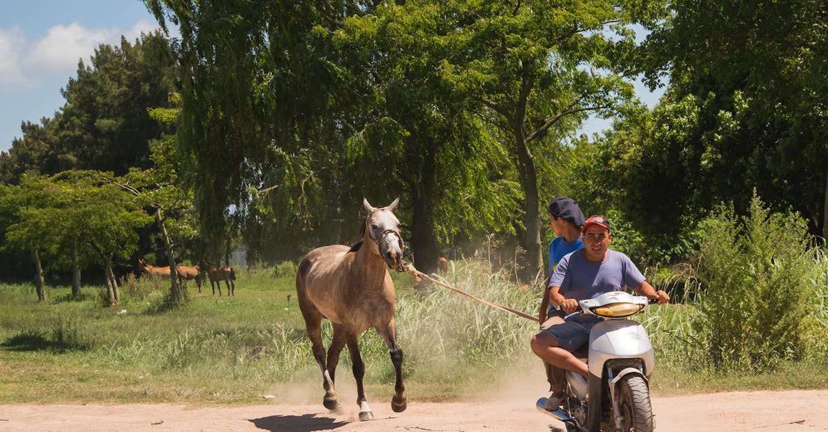 découvrez les prix des scooters pour tous les budgets. comparez les modèles et trouvez le scooter idéal qui allie performance et économie. ne manquez pas nos conseils pour bien choisir votre moyen de transport personnel.