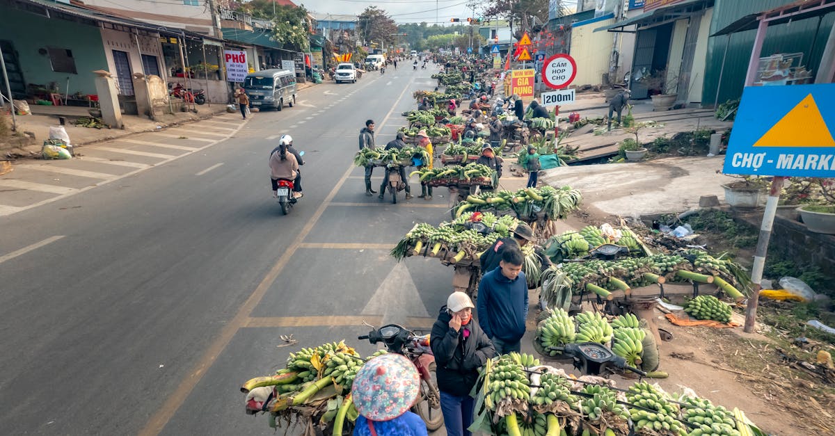 découvrez nos solutions d'assurance scooter adaptées à vos besoins ! protégez votre véhicule avec des garanties complètes et un service client à votre écoute. obtenez un devis rapide et roulez en toute tranquillité.