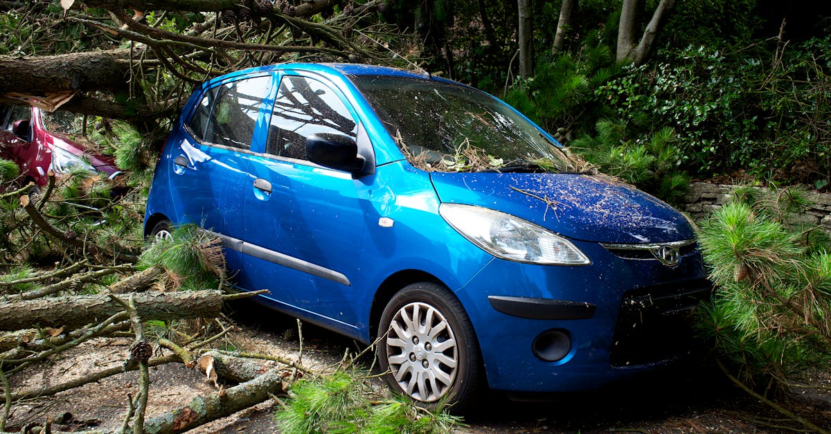 obtenez la meilleure assurance auto pour protéger votre véhicule et votre budget. comparez les offres, bénéficiez de conseils personnalisés et assurez-vous une tranquillité d'esprit sur la route.