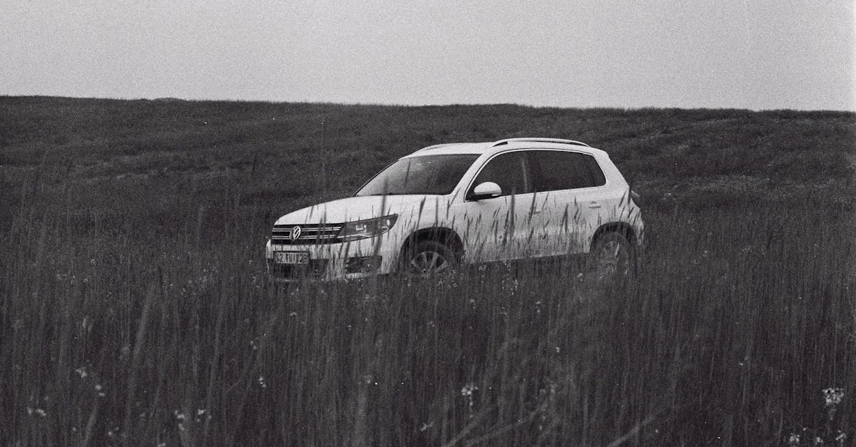 découvrez le volkswagen tiguan, un suv alliant élégance, performance et praticité. avec son design moderne, ses technologies avancées et son confort inégalé, le tiguan est le compagnon idéal pour toutes vos aventures.