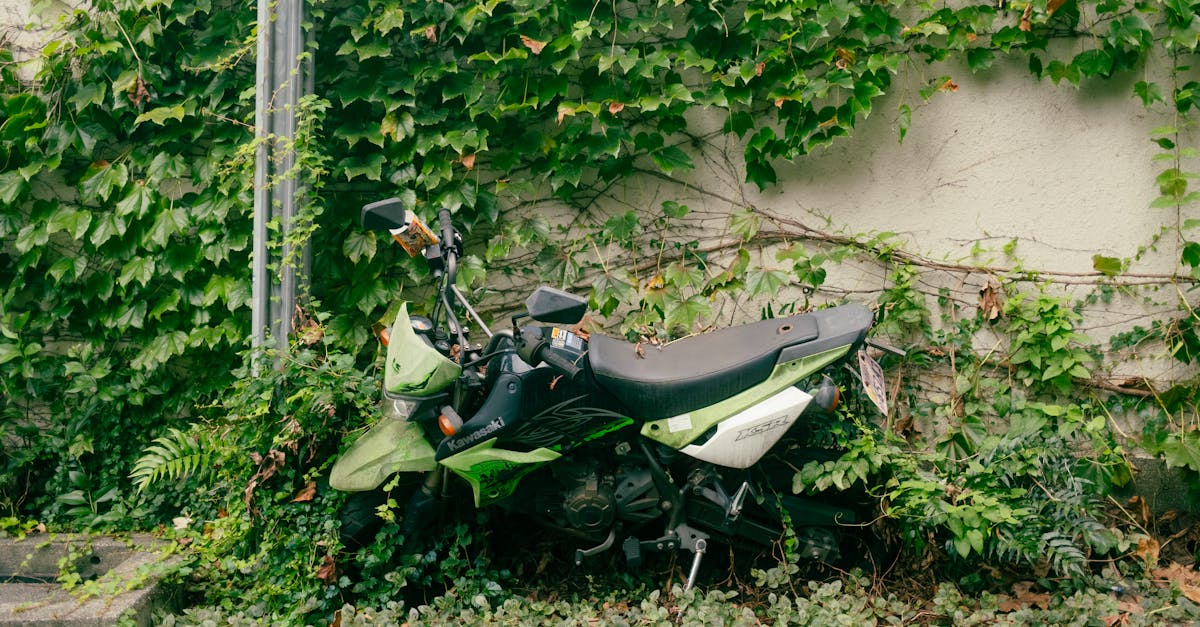 découvrez la kawasaki z650, une moto polyvalente alliant puissance et agilité, idéale pour les passionnés de sensations. avec son design moderne et sa performance optimale, elle offre une expérience de conduite inégalée sur route comme en ville.